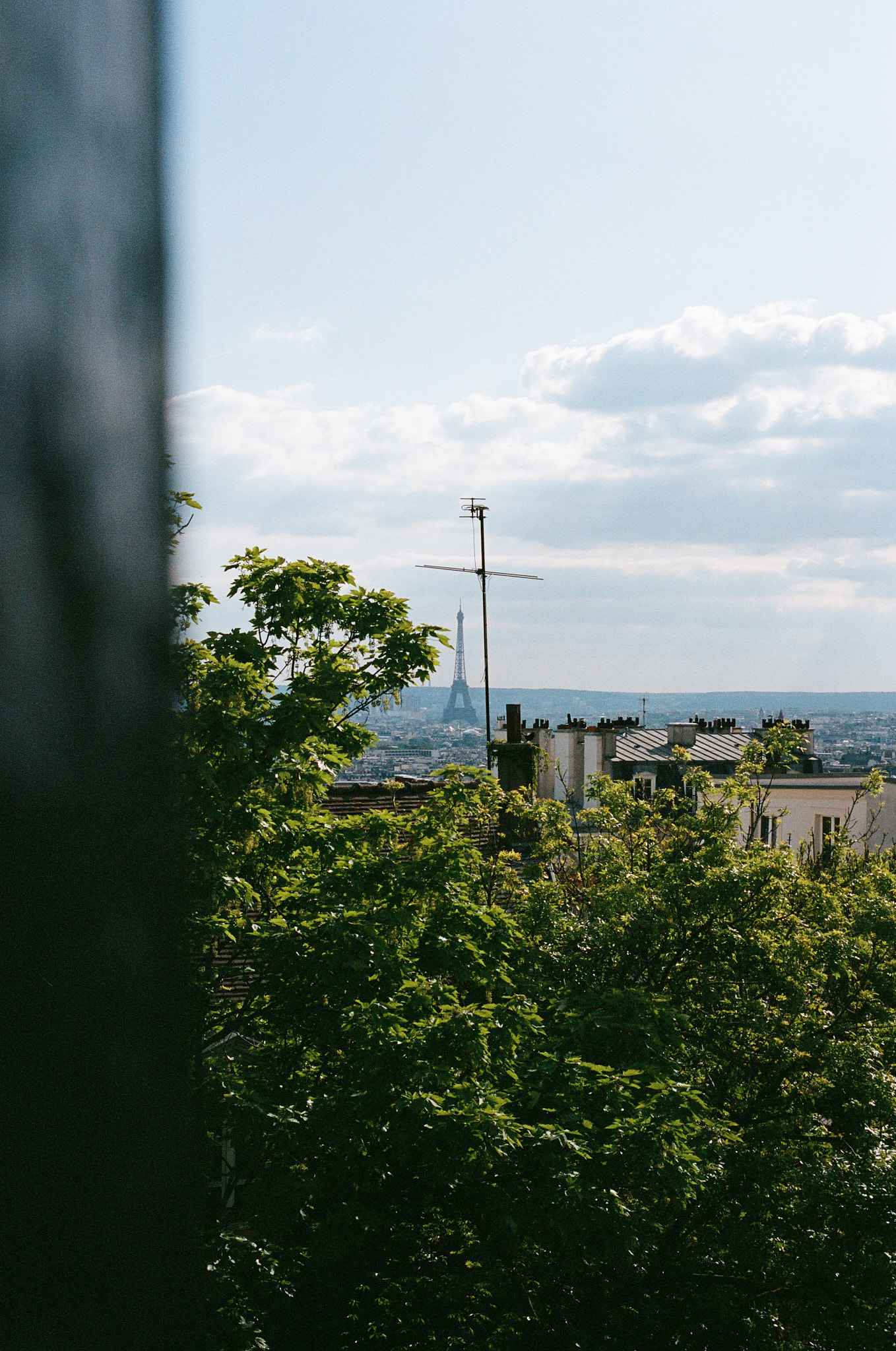Eiffelturm zwischen Baum und Antenne