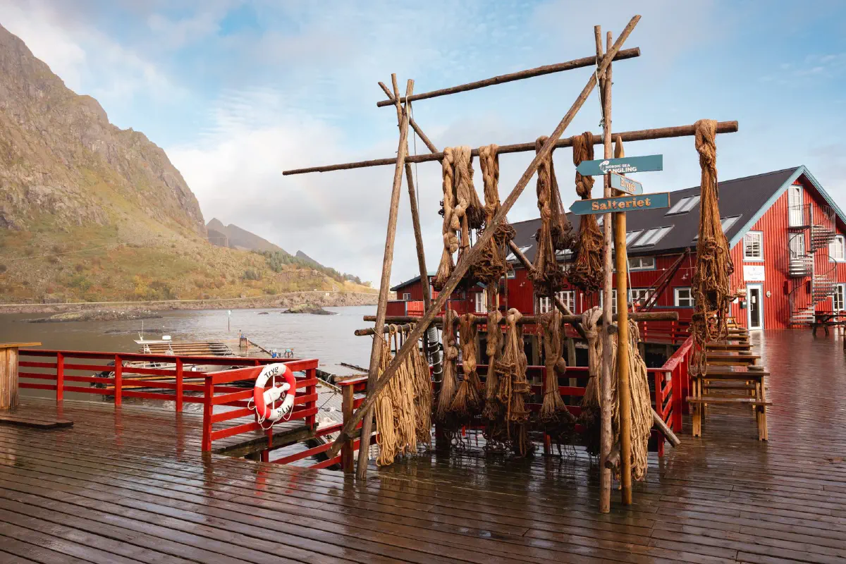 Roadtrip zu den Lofoten